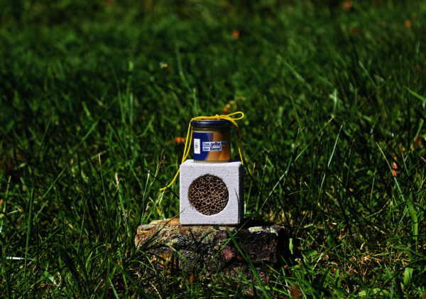 YTONG Wildbienenwürfel-Set mit Honig